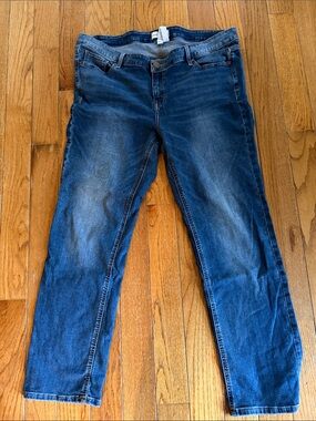 Lane Bryant Dark Blue Skinny Jeans